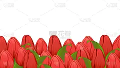 郁金香,春天,背景,花束,白色背景,贺卡,清新,浪漫,植物,夏天