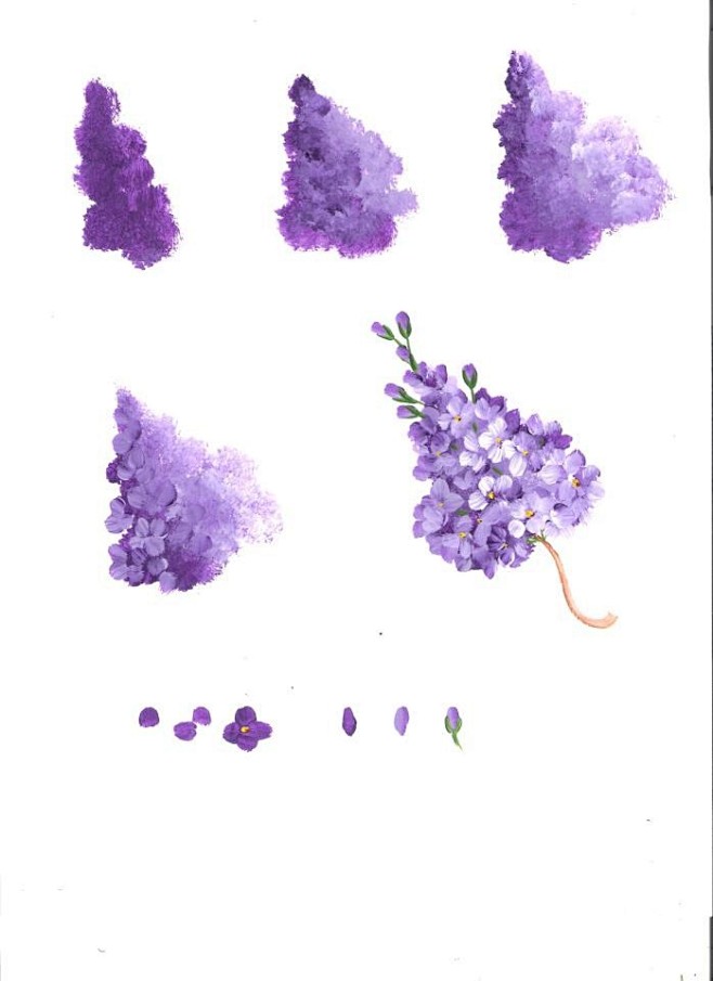 Lilacs worksheet by ...