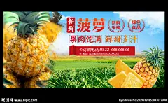 菠萝 凤梨 菠萝灯箱 菠萝宣传 菠萝批发 菠萝展架 菠萝x展架 菠萝易拉宝 美味菠萝 新鲜菠萝 菠萝美食 批发菠萝 菠萝专卖 菠萝基地 菠萝节 菠萝海报 菠萝汁 果汁 鲜榨果汁 水果店 绿色水果 超市海报 菠萝种植 菠萝广告 菠萝水果 水果菠萝 菠萝文化 菠萝展板 水果店菠萝 菠萝上市 菠萝成熟 设计 广告设计 广告设计 300DPI PSD