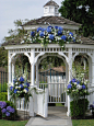 outside wedding gazebo