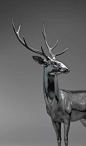 蔡志松：鹤与鹿是最有灵性的动物，代表着东方文化的精神！