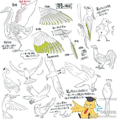 WANGWENWU采集到教程