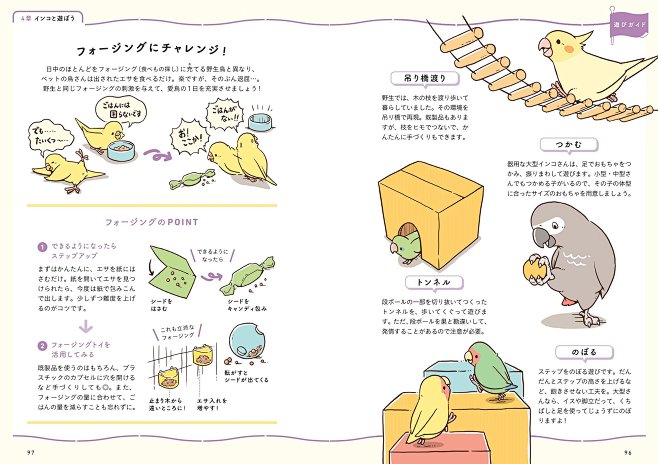 Amazon.com: BIRDSTOR...