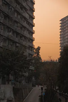 麻雀壁纸的微博_微博
