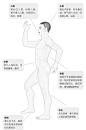 男人40不阳虚：强肝肾，防大病-杨力-微信读书