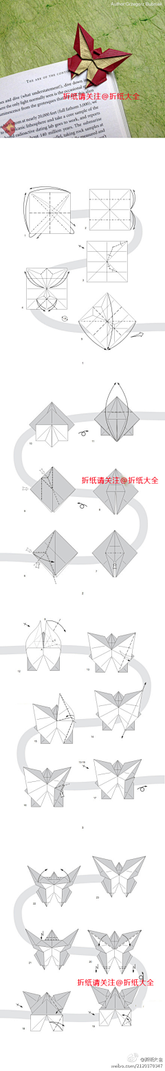 跌了年华゛采集到花艺