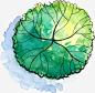 文艺卡通小清新装饰插画广告设计_新图网 https://ixintu.com 文艺卡通小清新装饰插画广告设计大树免费下载 卡通手绘装饰插画 简约大气插画 广告设计 网页设计 封面设计 小清新插画 大树