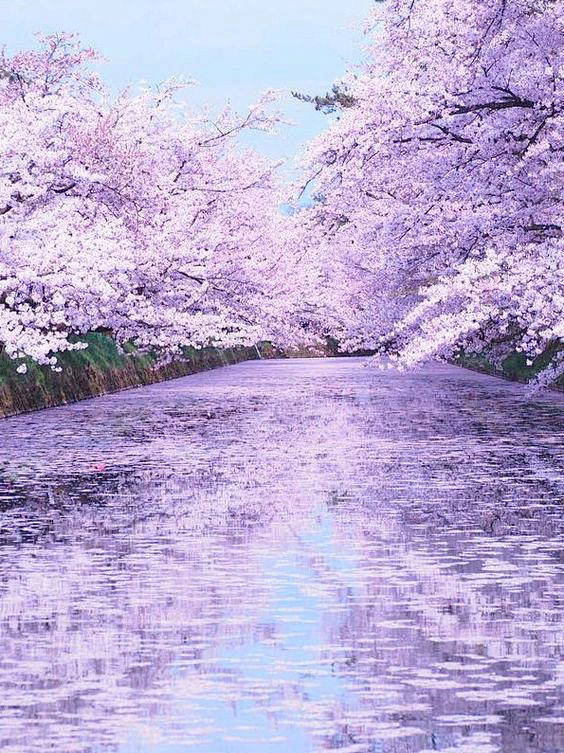 Hirosaki Castle , Ao...