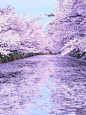 Hirosaki Castle , Aomori, Japan