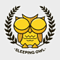 Sleeping Owl