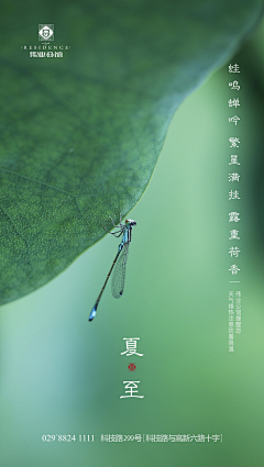 EvanLeo采集到节气