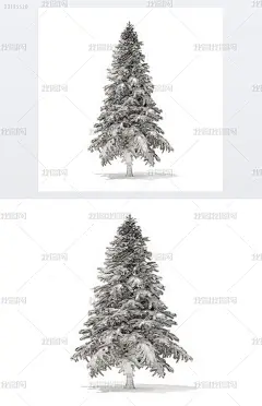 3D模型雪景云杉3D模型4.4米