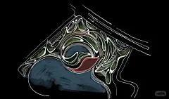 曲线生态桥 - 小红书搜索