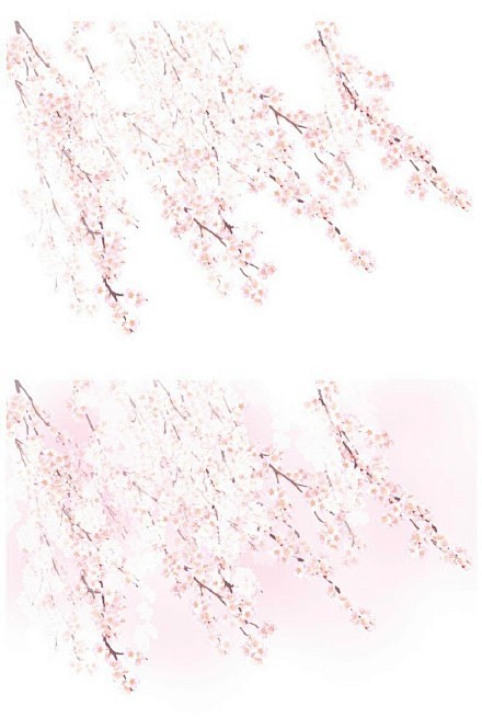 给大家分享一组超棒的樱花枝&紫藤蔓png...