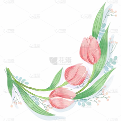 粉色水彩郁金香花卉元素