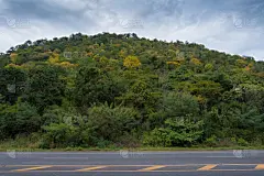 山路,水,天空,野外动物,夏天,沥青,彩色图片,街道,平和,非都市风光