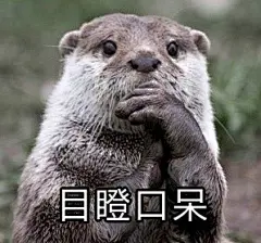 做了一组萌萌哒表情包~水印已去你们拿去卖萌吧(･∀&lt;)~☆