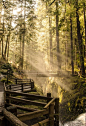 Sol Duc Falls, Washington