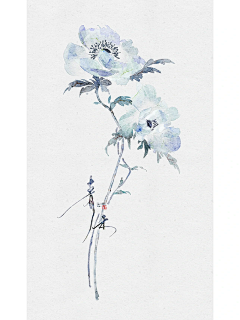 最野7night采集到花卉