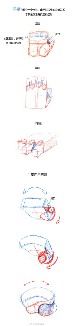 重回1（404）采集到肢体