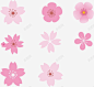 樱花花瓣元素