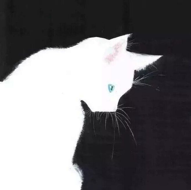 情头，猫
