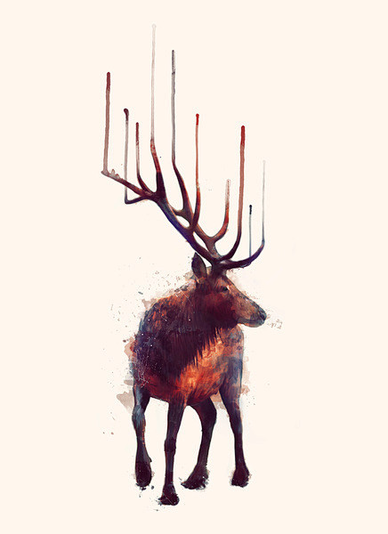 [Animals by Amy Hami...