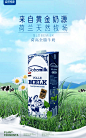 食品海报