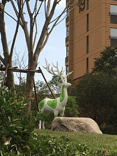 lynn1988采集到鹿