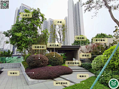 FD-landscape采集到植物选型