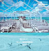 摄影（薇拉影楼）