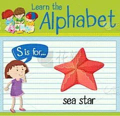 闪卡,英文字母S,海星,儿童,白色,绿色,可爱的,野生动物,图像,教育