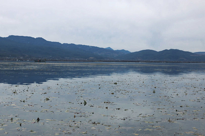 江湖水草空旷，何必养天闲。