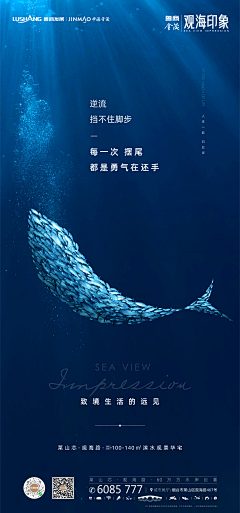 树1982采集到D地产微信单图