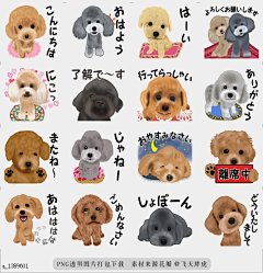 line贴图表情包玩具贵宾犬的移动贴纸|Move! Sticker of toy-poodle 这是一个玩具贵宾犬的移动贴纸，请用它来进行日常会话，|It is a moving sticker of a toy poodle. Please use it for everyday conversation.@飞天胖虎