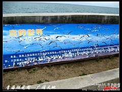 Zhang00feng采集到青海湖风貌—1—广阔天
