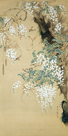 那布勒斯采集到白描，国画，工笔
