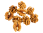 walnut_PNG10