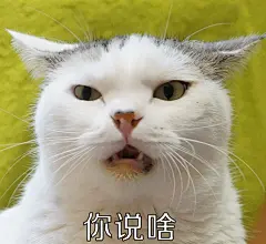 #喵星人小乖##表情包#再发一组表情包吧哈哈... 来自巧克力喵星人在东京打伞 - 微博