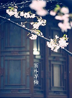 静欢悲喜采集到无