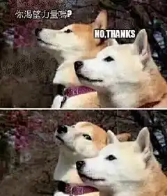 (1 条消息)有哪些超级可爱的柴犬的表情包？ - 知乎
