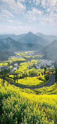 原图壁纸：山村油菜花开，原生态的风景-今日头条