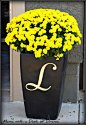 Monogram planter– this is a cute idea–maybe for front porch | Remodel Home: 