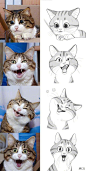 #绘画学习#
一波超可爱的动物表情头像。丨画师Twitter：MIJI