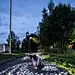 ÅF Lighting » Verdensparken: 