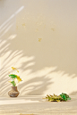 黄色背景 (42)