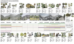 橘子时空采集到植物专项排版