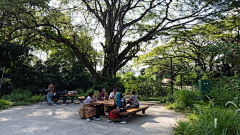 celosia采集到B-park\plaza