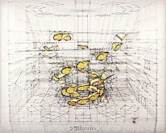 委内瑞拉艺术家 Rafael Araujo 丝毫没有使用科技产品辅助，单靠铅笔、尺、量角器就画出了大自然中的奥妙数学：蝴蝶起飞的方式，贝壳的螺旋生长比例，许多作品都带有一种达文西手稿的风味