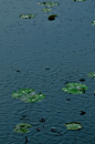 茅家埠雨记 - 攀二耿 - CNU视觉联盟